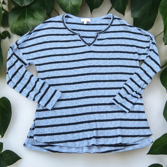 Weekend by Suzanne Betro Heathered Blue Striped Long Sleeve T Shirt Size 1X - Picture 1 of 5